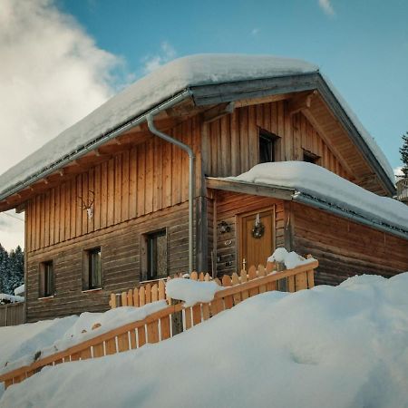 فيلا Chalet In Annaberg-Lungotz With Terrace المظهر الخارجي الصورة